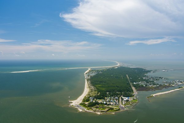 Quels sont les meilleurs spots pour faire de la plongée avec les dauphins aux Maldives?